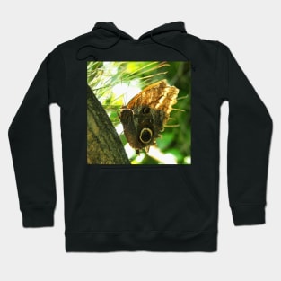 Mournful Owl Butterfly Hoodie